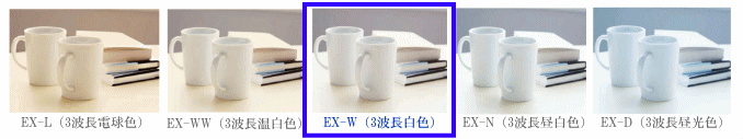 RpNgǔF敪iFẍႢIj