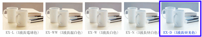 RpNgǔF敪iFẍႢIj