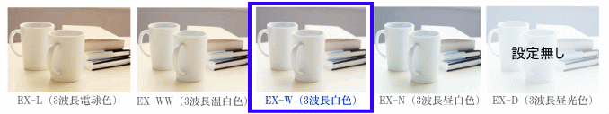 RpNgǔF敪iFẍႢIj